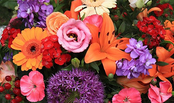 flores-foto-lifeder-min-1024x682.jpg