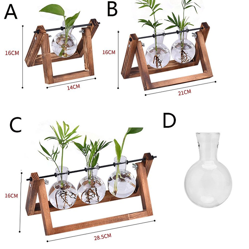 Thumbnail: Vintage Glass Terrarium Vase