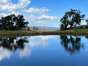 Bushwalking and Writing, are they Parallel Paths?