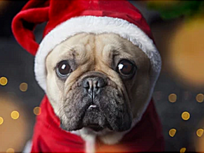 The Longest Day of the Year