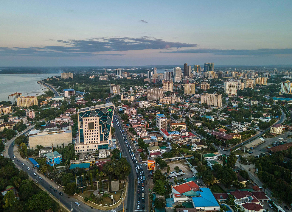 ali-mkumbwa-TBZRc1TKA30-unsplash copy.jpg