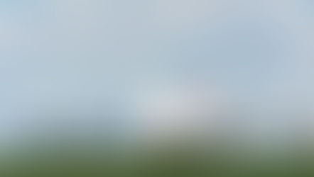 Forecasting Tourist Arrivals