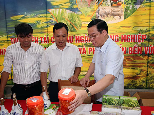 Làm OCOP: “Hãy gắn sao vào lòng dân”