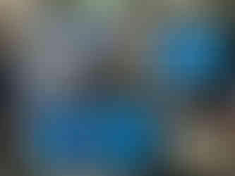 prewired 12volt board