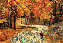 Copy of IMG_8015.JPEG