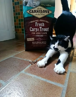 croquettes sans céréales Carnilove pour chat