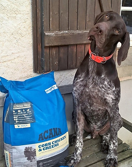 Croquettes sans céréales Acana pour chien