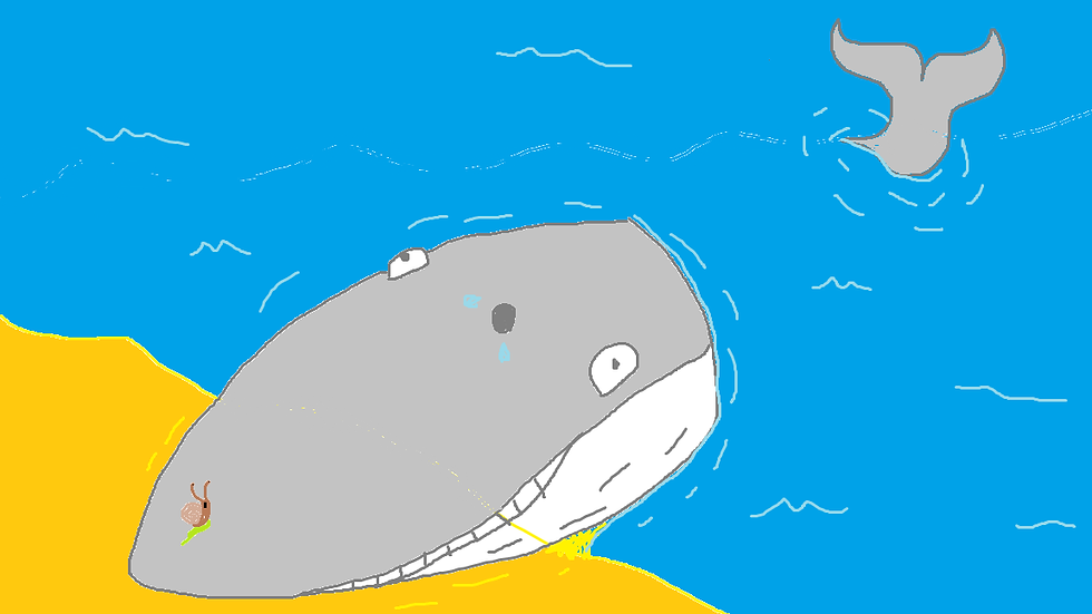 alt snail title card