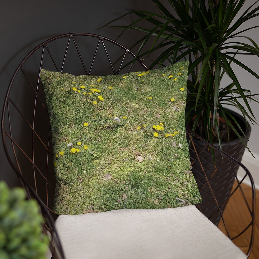 Thumbnail: Spring Fields Basic Pillow