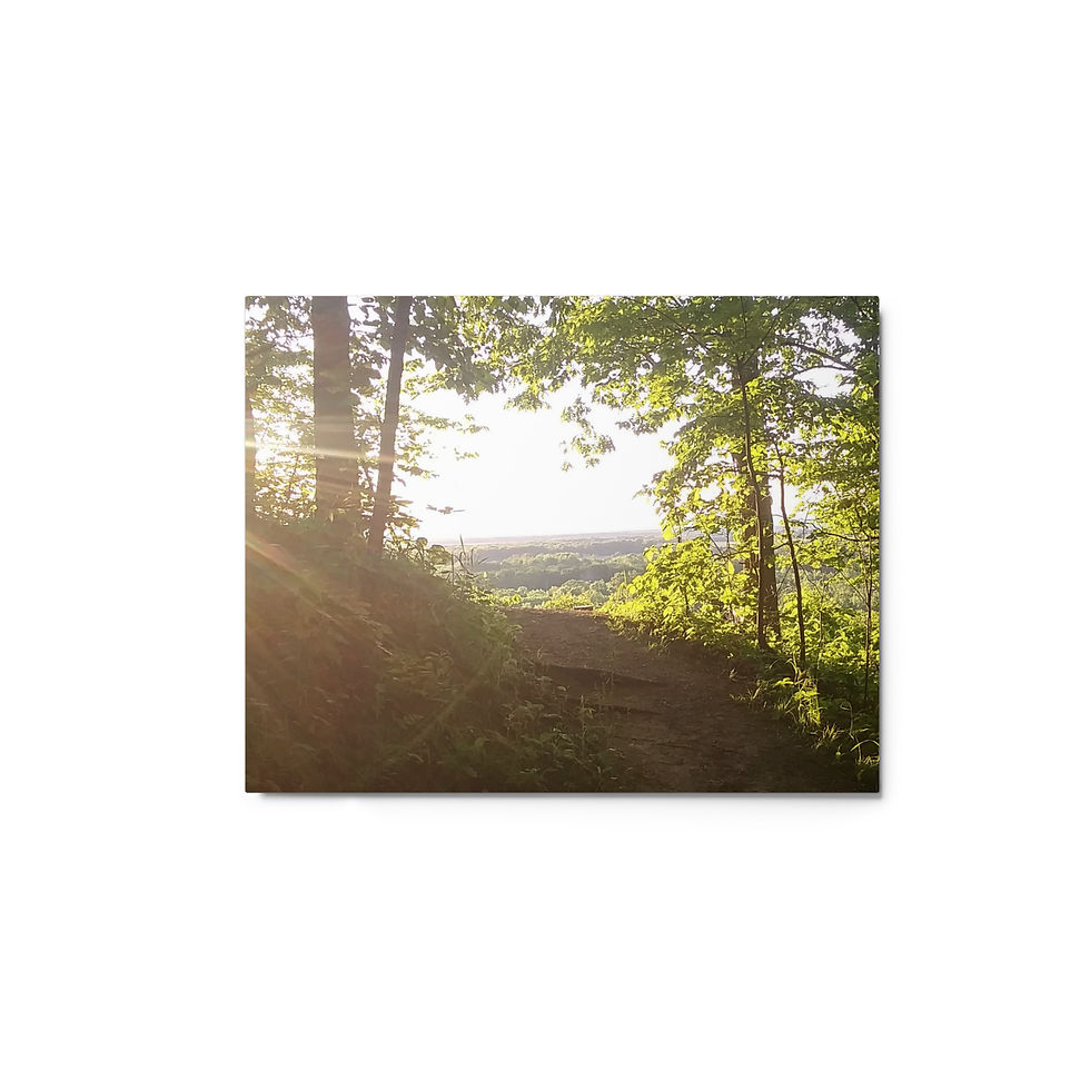 Thumbnail: Pause Metal prints