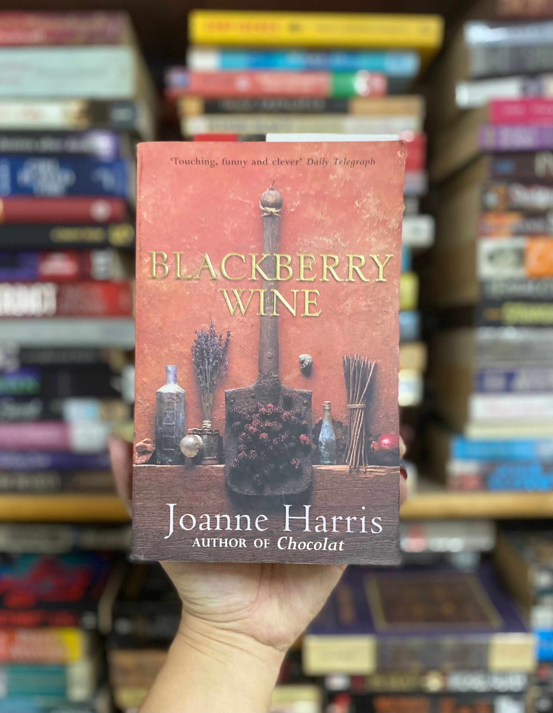 Blackberry Wine: A Novel