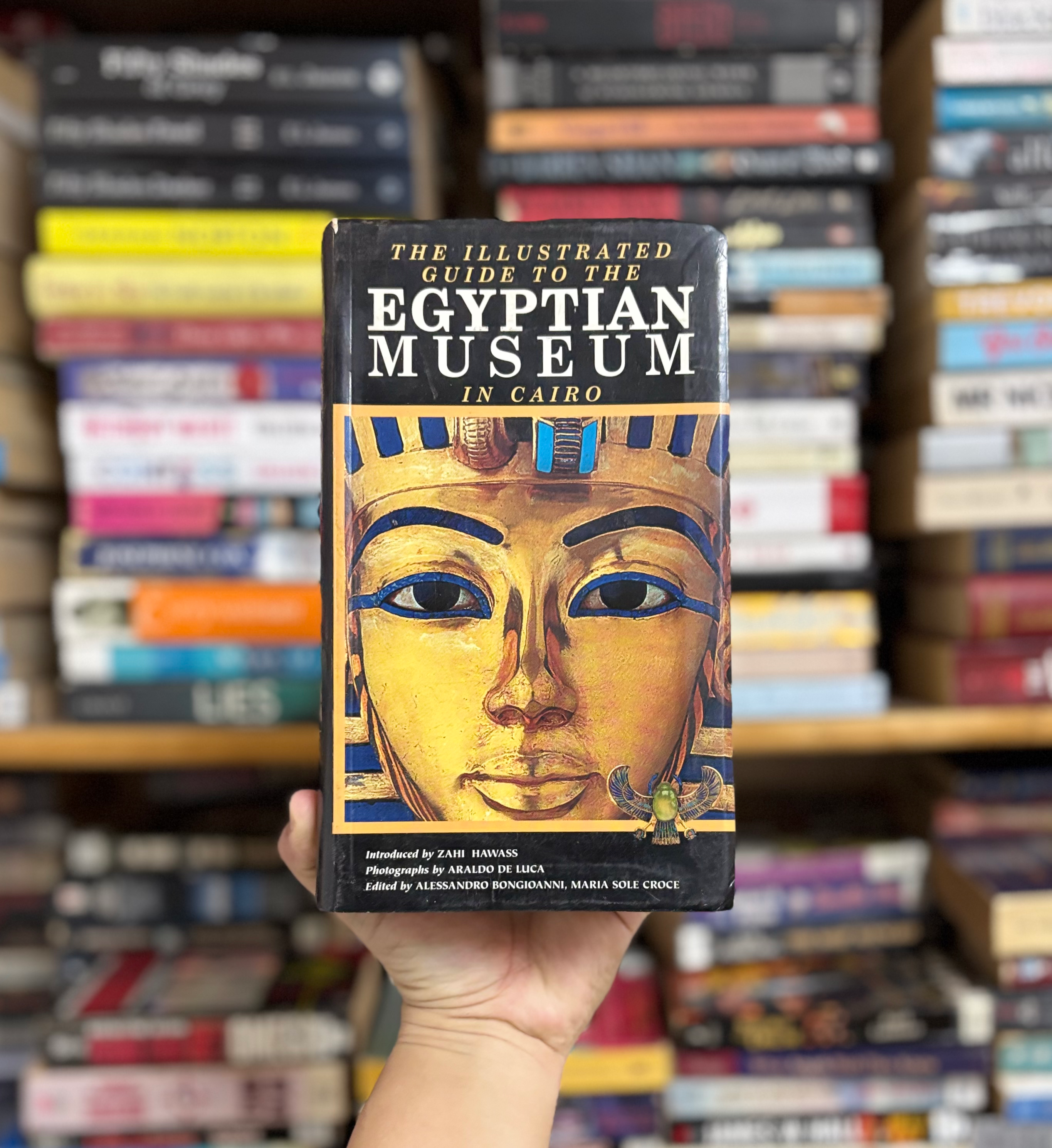 Illustrated Guide to the Egyptian Museum in Cairo