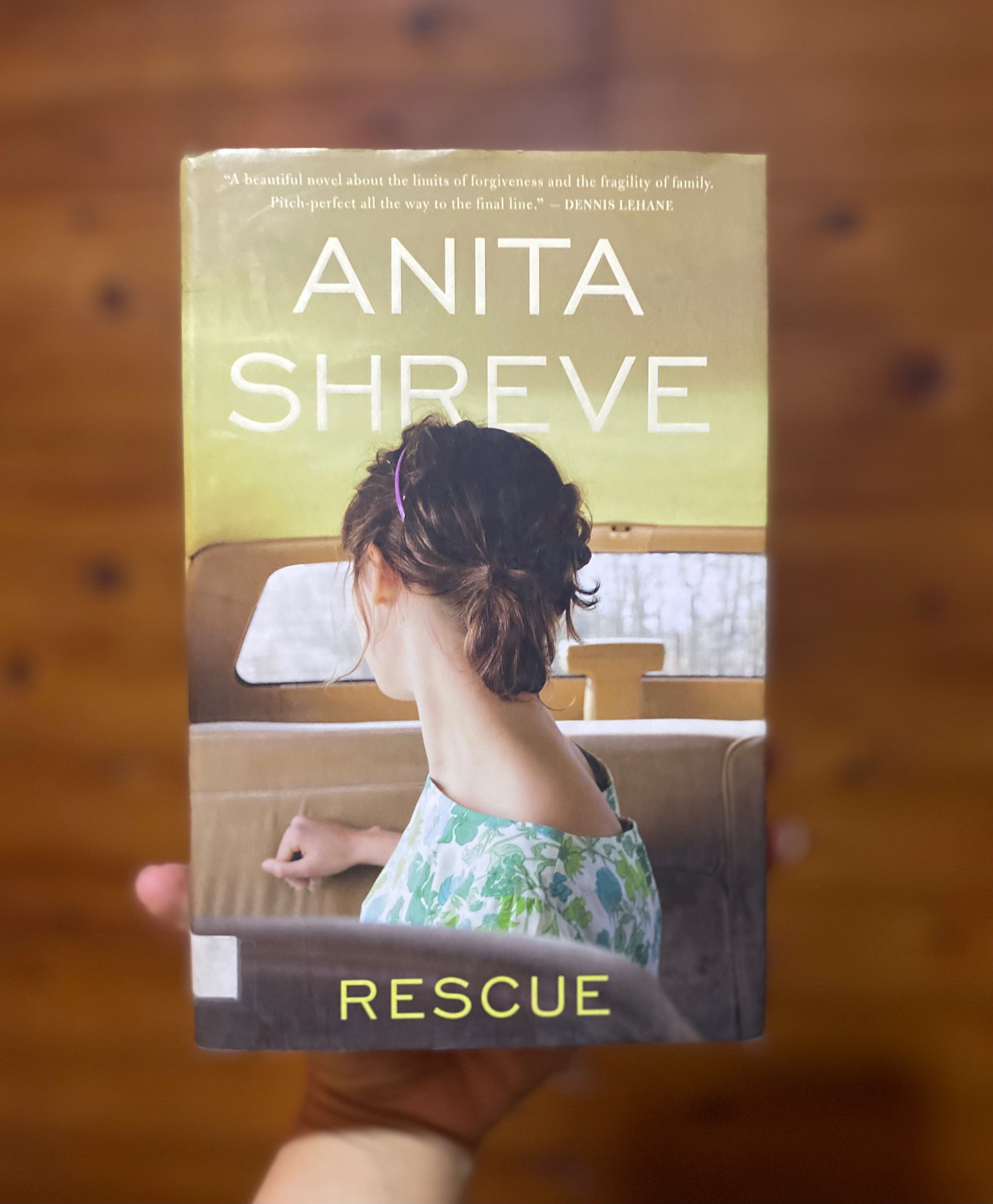 Rescue: A Novel