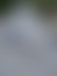 Roofing Done Right in Lebanon, OR: What to Look for in a Roofing Contractor