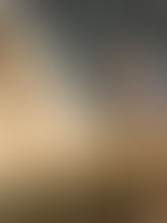 The Overlooked Factors That Shorten a Roof’s Lifespan