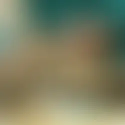 Advancing Health Outcomes for Strays in Mumbai