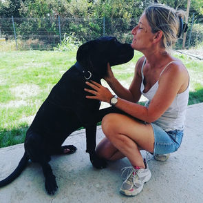 Chien attentif partageant un moment de confiance avec sa maîtresse lors d’un exercice éducatif