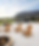 file_000000002e4081f58aceefb209d88cc2(1).png