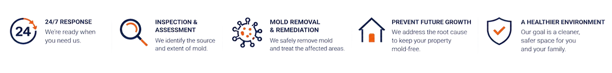ChatGPT Image Sep 15, 2026, 04_56_25 PM_edited.png