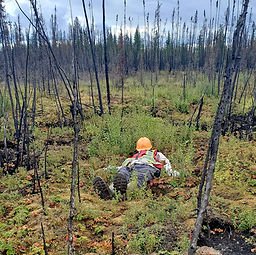 20250818_155510 (1)_edited.jpg