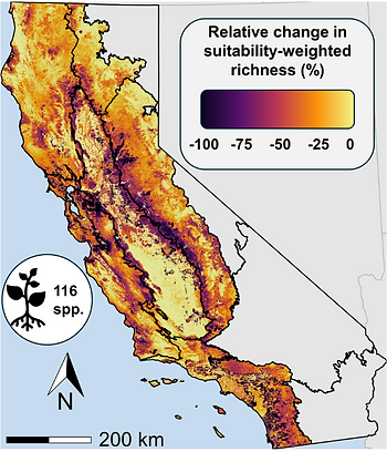 Prepared by Dr. M. B. Rose for the 5th California Climate Change Assessment. The figure shows the projected relative change in suitability-weighted plant richness under climate change for 116 plant species in the California Floristic Province (Mediterranean-type climate) Ecoregions in California. Shown is the relative change in suitability-weighted richness from a historical baseline period (1980–2010) to end of century (2070–2099) under a high greenhouse gas emissions scenario (RCP 8.5). Suitability-weighted richness is calculated as the sum of continuous habitat suitability values across 166 native plant species, and relative change is expressed as the proportional difference between future and baseline conditions for each grid cell. Projections represent the mean of two global climate models and assume that species are constrained to their baseline distributions (no migration).