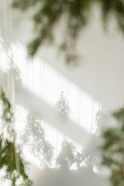 realm-styledset-holiday2024-40.jpg