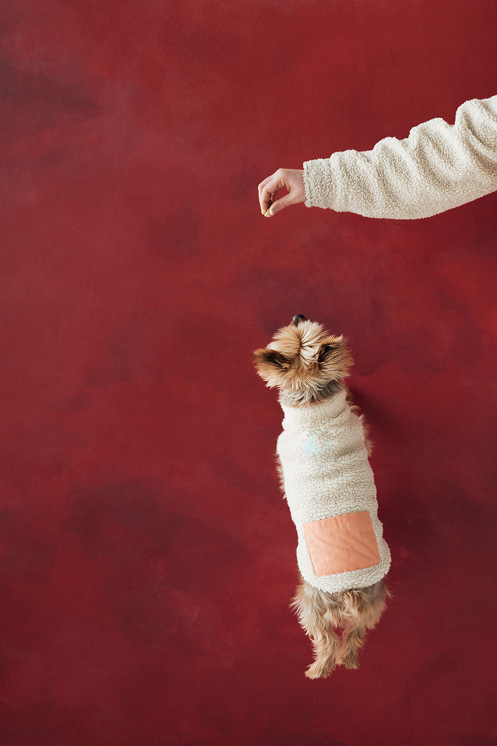 Photo by Poppy & Co by Kelsey Huffer