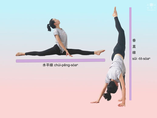 地板流-Floor Flow Movement-<身體ê伸勼 腰腹ê訓練>