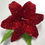 Thumbnail: Fox Lily