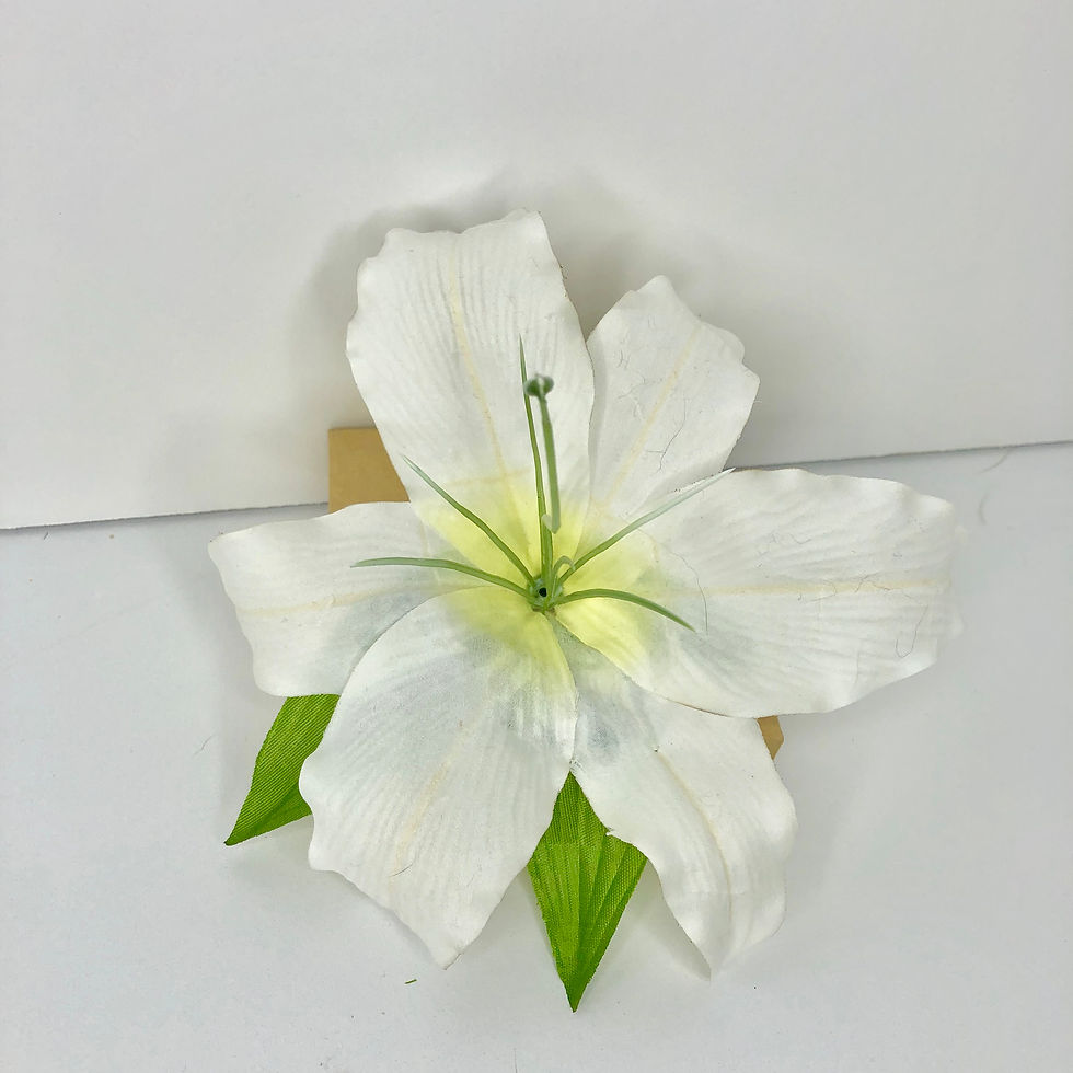 Rio lily