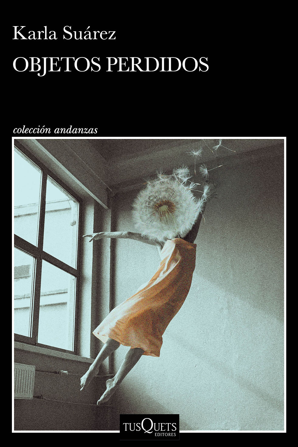 Objetos perdidos. Karla Suárez