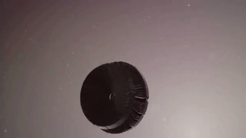 Abstract Motion Graphics