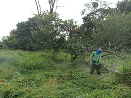 WhatsApp Image 2022-11-06 at 20.48.03 (1).jpeg