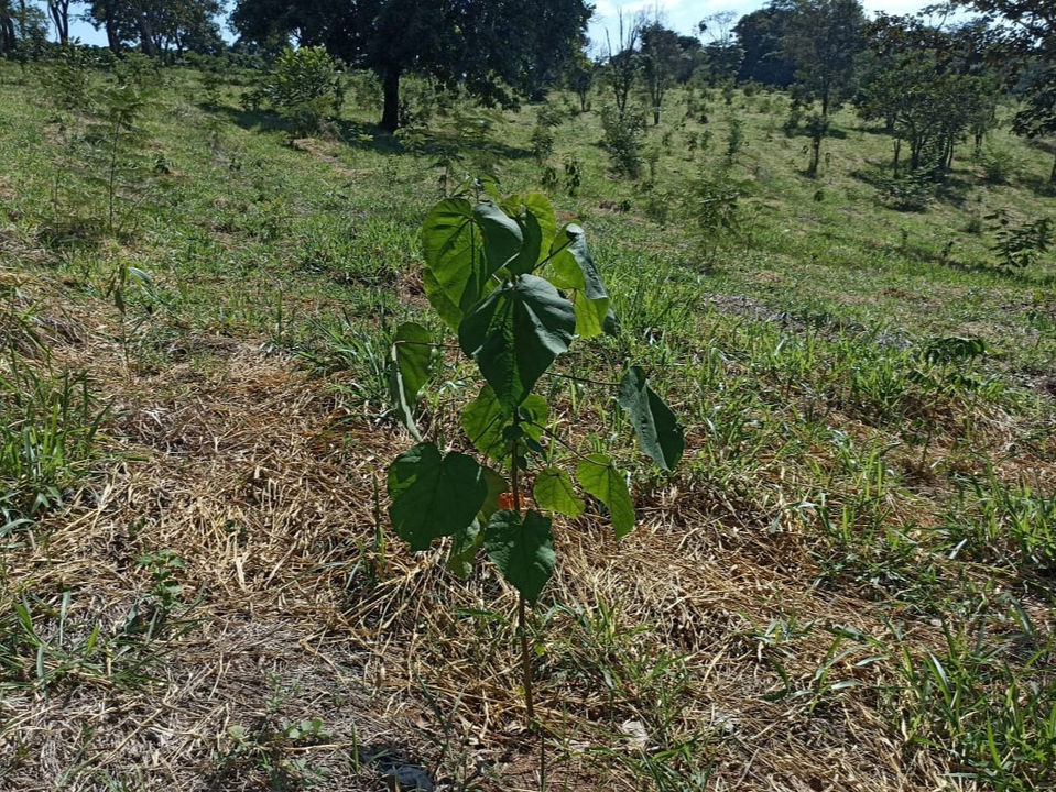 WhatsApp Image 2022-11-06 at 20.48.02 (2).jpeg