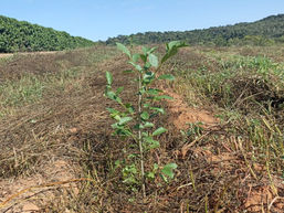 WhatsApp Image 2022-11-06 at 20.48.01 (2).jpeg