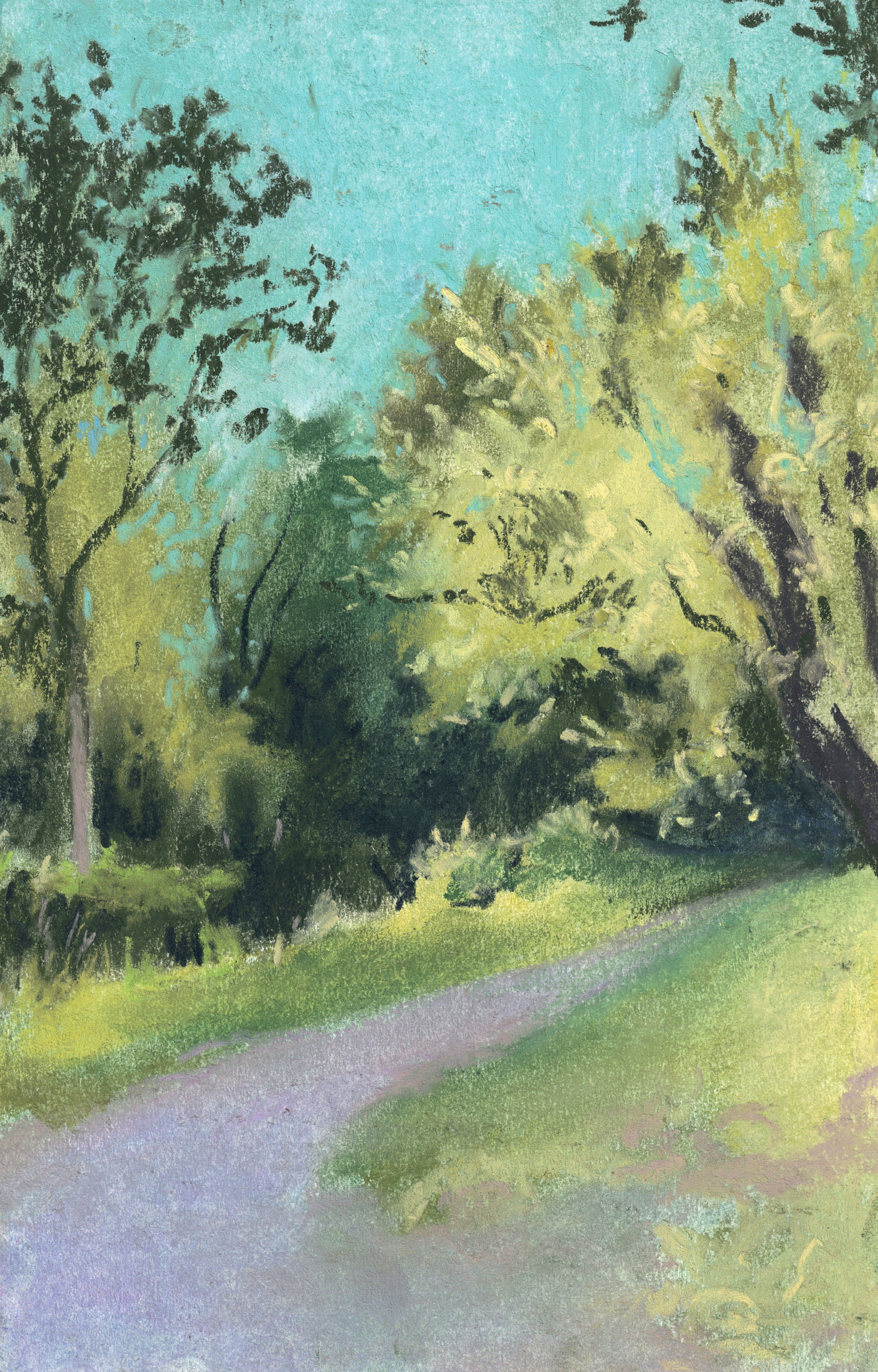 Original Artwork - Trail Drawing #22