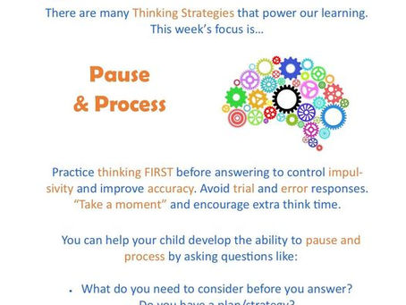 This week's focus: Pause and Process