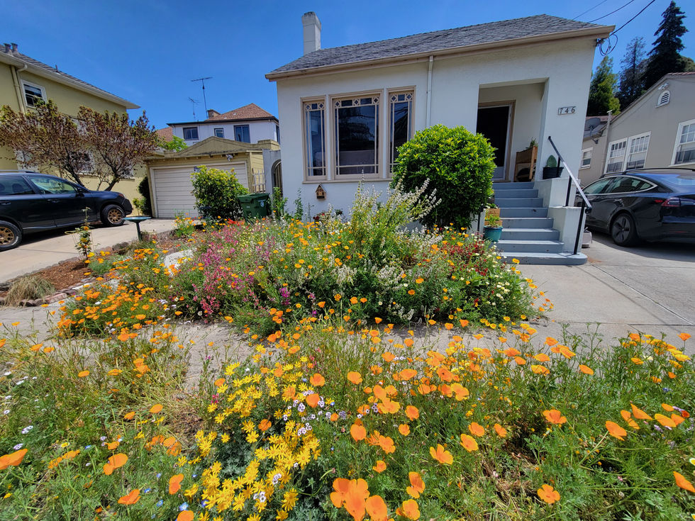 Year 2 Front View, Spring