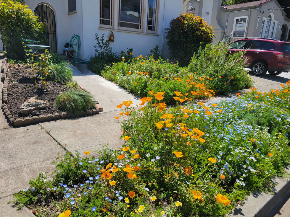 Year 2 Front View, Spring