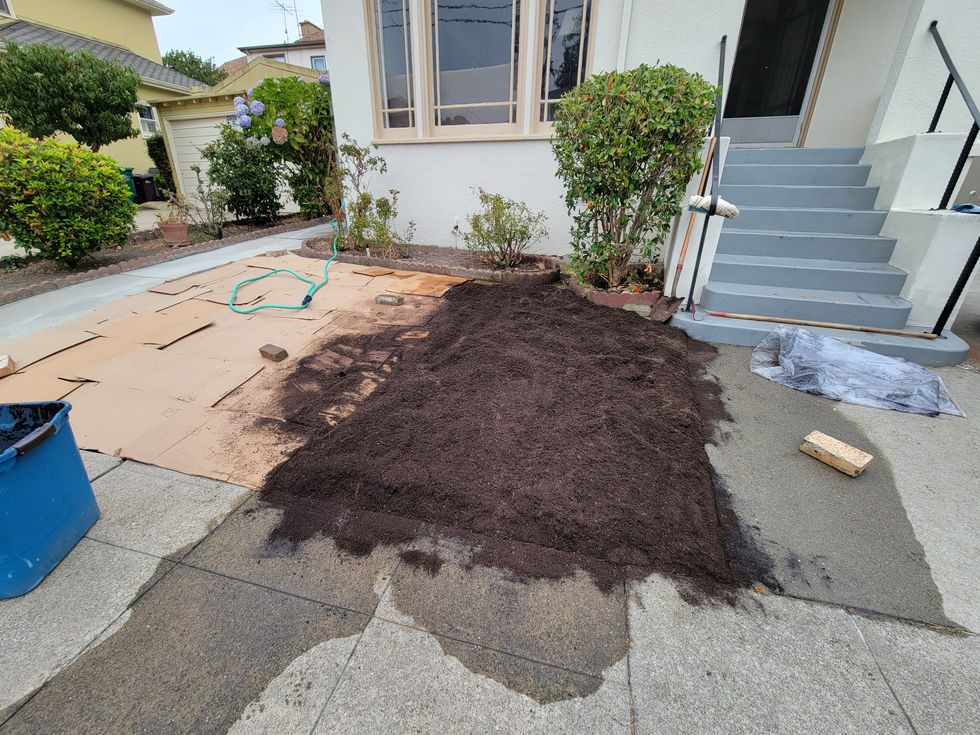 Lawn removal by the Mulch Method