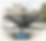 Cosmos Drops illu(1).png