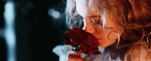 cortejo.gif