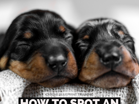 Let’s talk breeding…