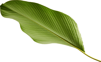 hoja 2 de la clínica arca fisioterapia & salud en Vigo