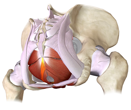Captura de pantalla 2019-10-29 a las 0.1