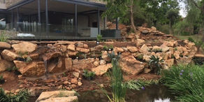 Blair Athol Pond & Roof Garden