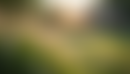 Healing for Inner Balance: The Importance of Spiritual Healing