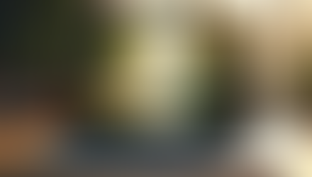 Finding Online Trauma Support Resources: Exploring Trauma Support Options