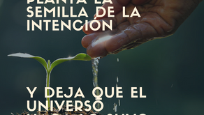 Planta la semilla de la Intención