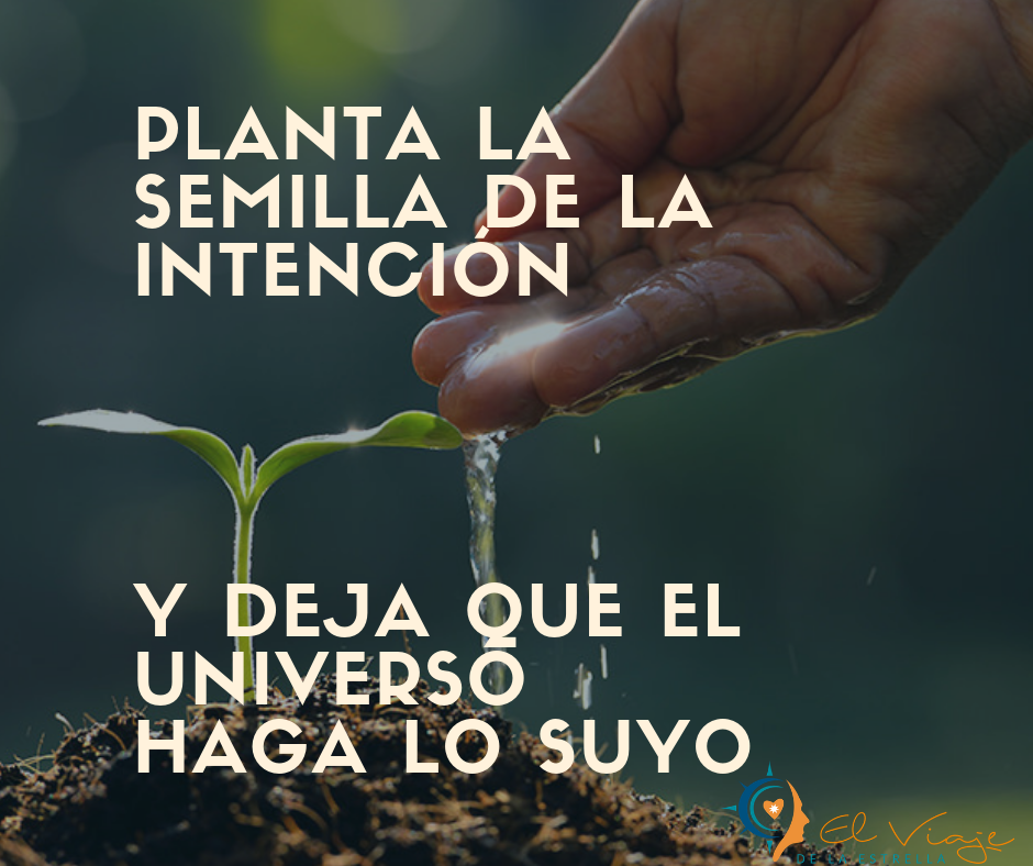 Planta la semilla de la Intención